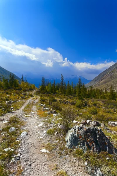 Road, steen, bergen, gletsjer, bomen — Stockfoto