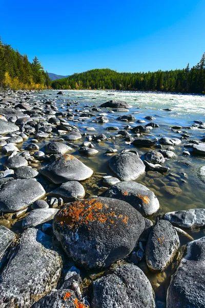 Řeka, dřevo, boulder — Stock fotografie