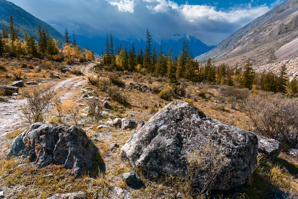 Berge, Wald, Wüste — Stockfoto