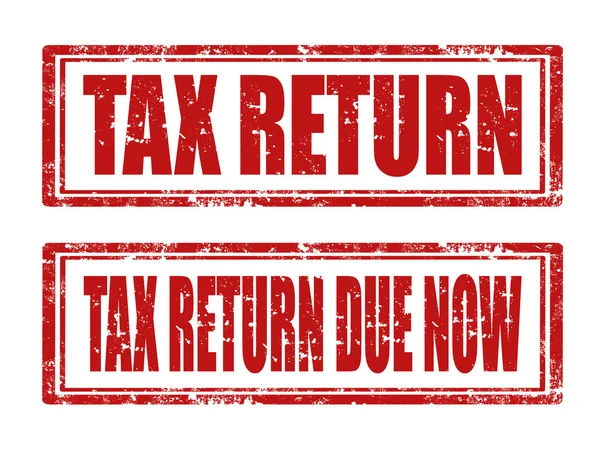 Steuererklärung — Stockvektor