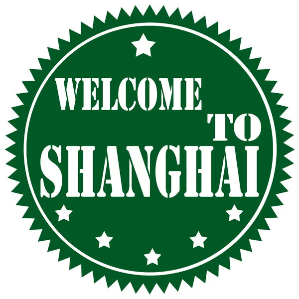 Welkom bij shanghai — Stockvector