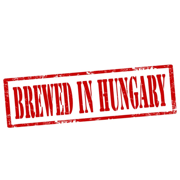 Macaristan-pul demlenmiş — Stok Vektör