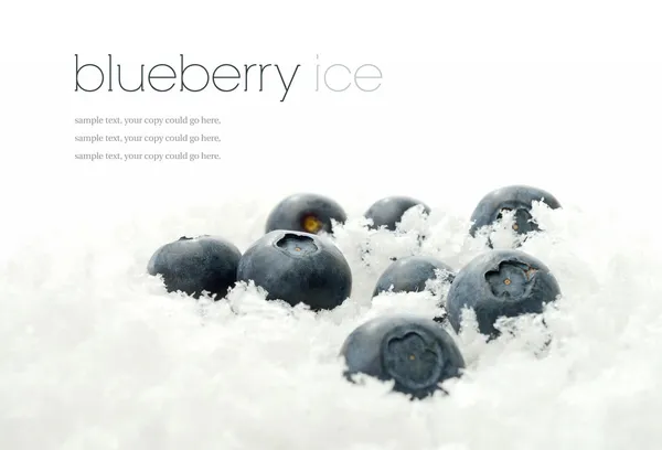 Blueberries in ice — Stock Photo, Image