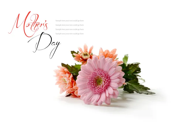 Mother's Day Flowers — Stock Photo, Image