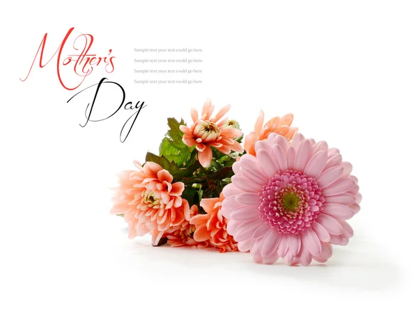 Den matek květiny Ii — Stock fotografie