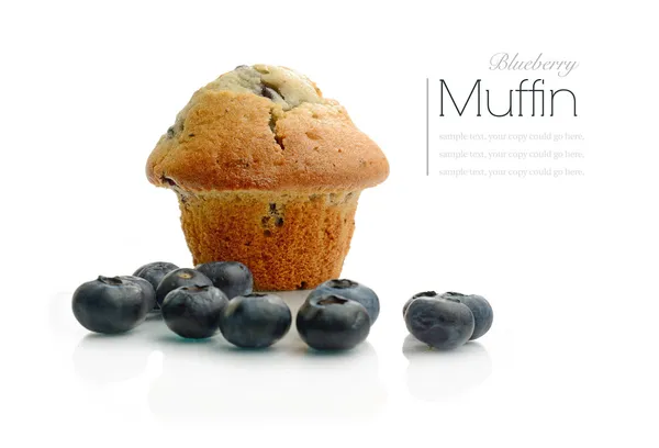 Borůvkový muffin — Stock fotografie