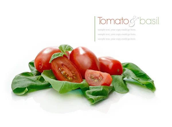 Tomaten und Basilikumblätter — Stockfoto