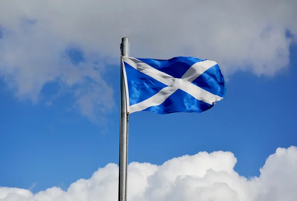 Scottish Flag (Saltire) — Stock Photo, Image