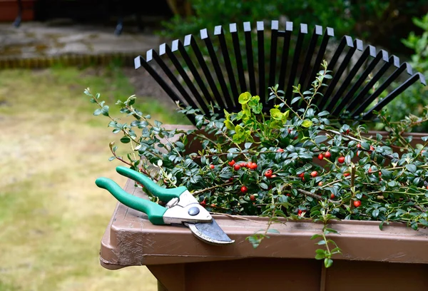 Reciclagem de Resíduos de Jardim II — Fotografia de Stock