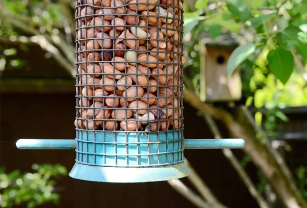 Bird Feeder — Stock Photo, Image