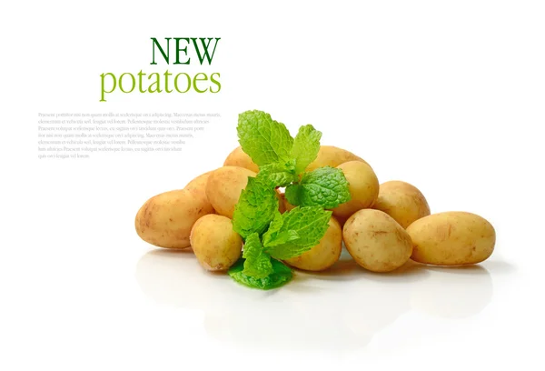 New Potatoes — Stock Photo, Image