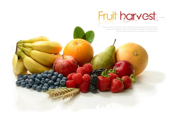 Un raccolto di frutta — Foto Stock