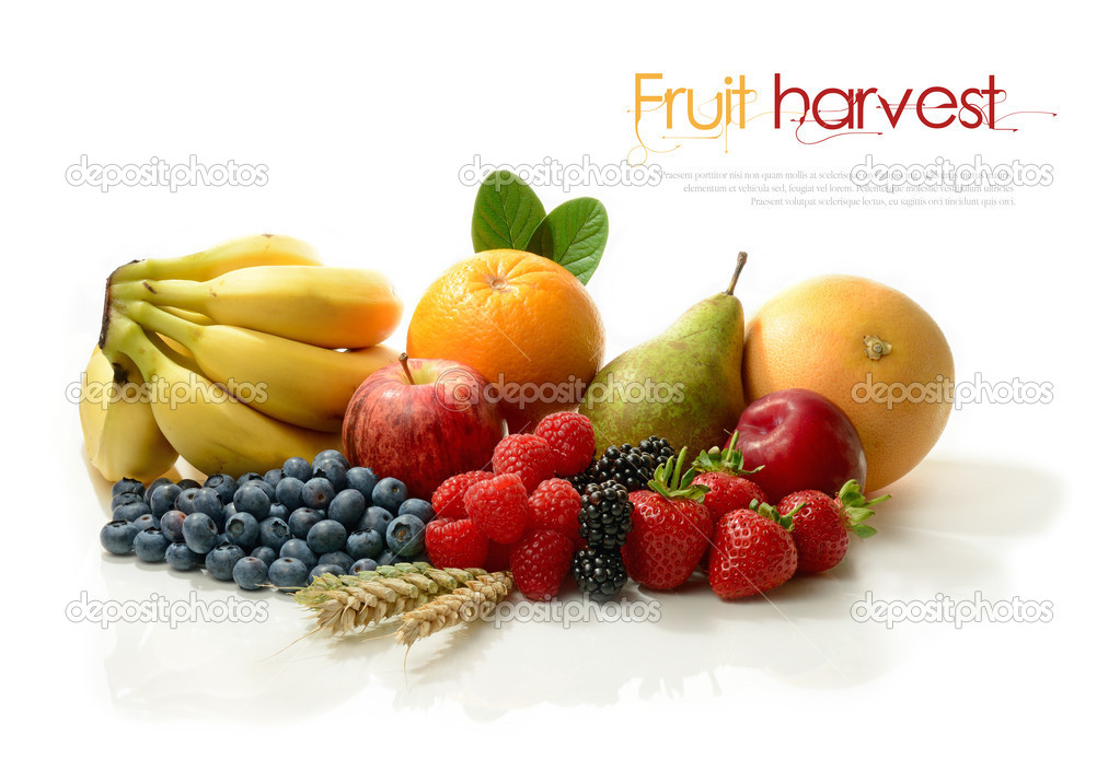 A Fruit Harvest