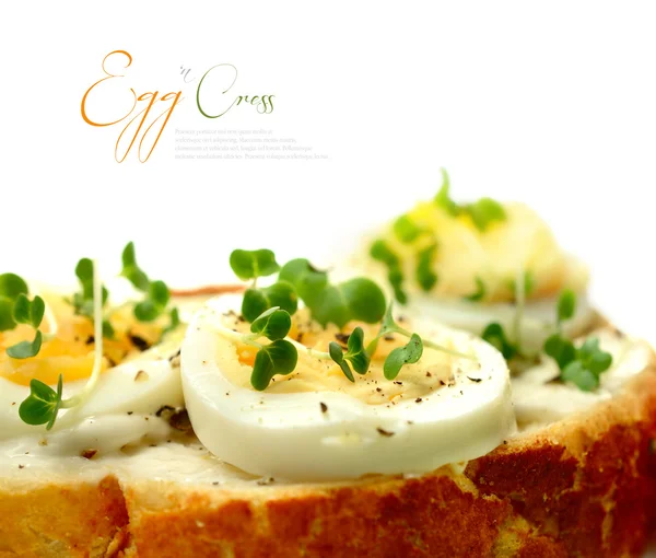 Egg and Cress Macro — Stock Photo, Image