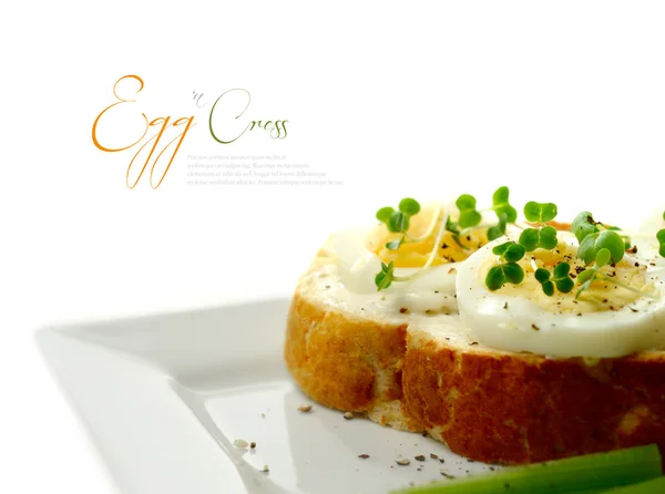 Ägg och cress makro 2 — Stockfoto
