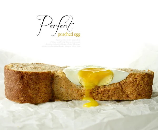 Perfect Poached Egg — Stock Photo, Image