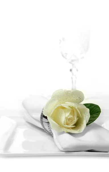 Bílý ubrousek růže — Stock fotografie