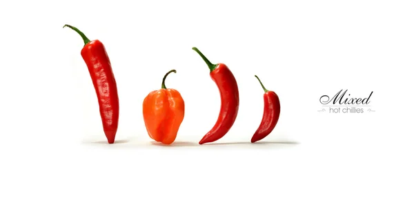 Blandade Hot Chili Panorama — Stockfoto