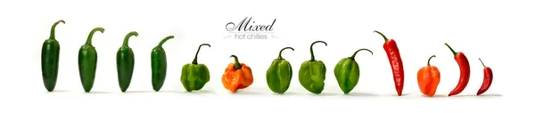 Mieszane hot chili 2 — Zdjęcie stockowe