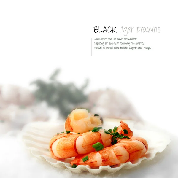 Black Tiger Prawns 3 — Stock Photo, Image