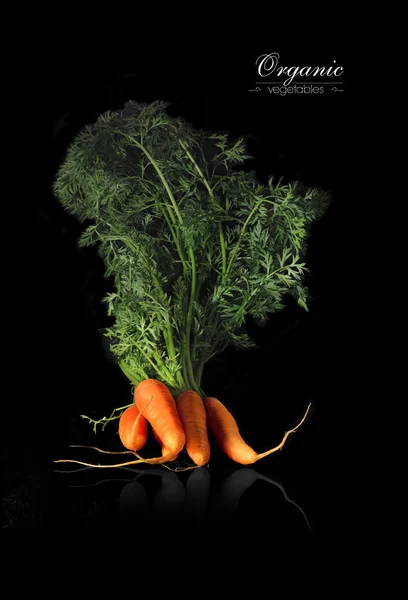 Organic Carrots — Stock Photo, Image