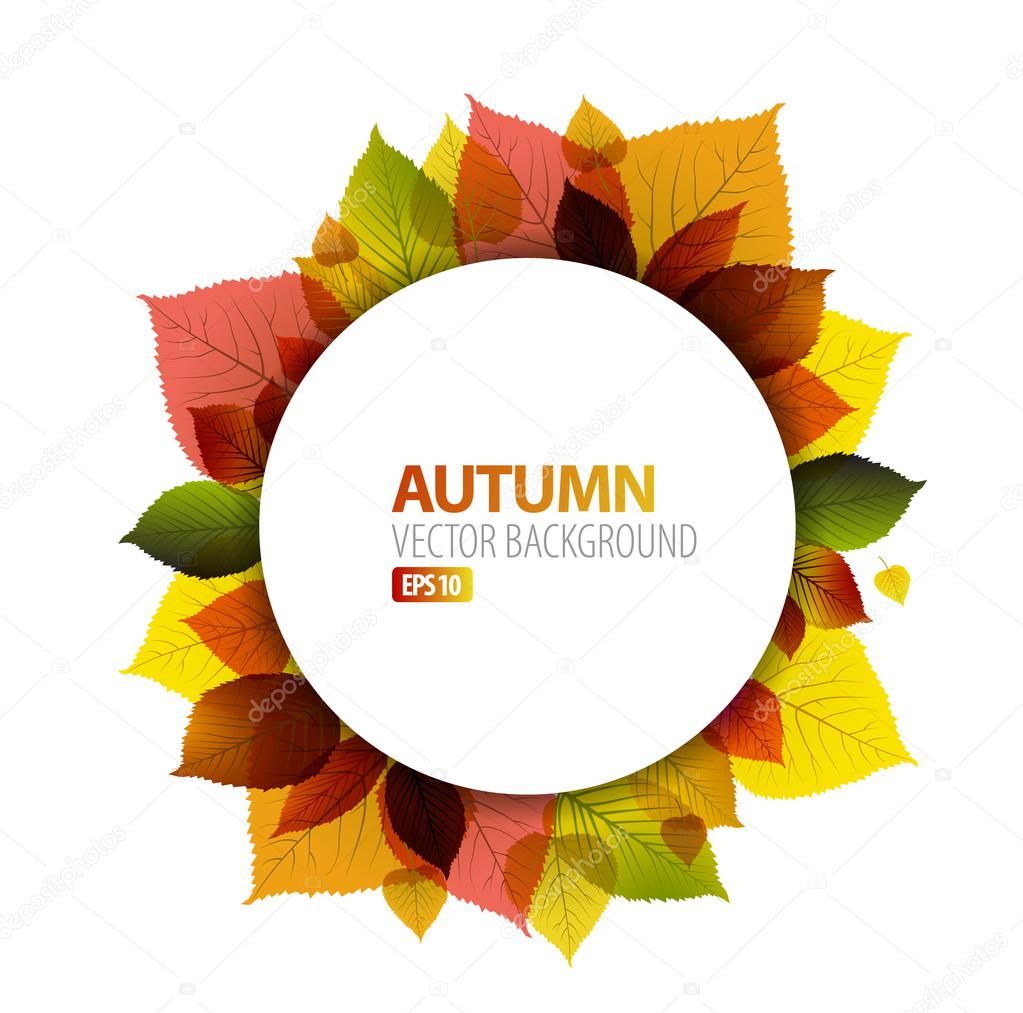 Autumn abstract floral background