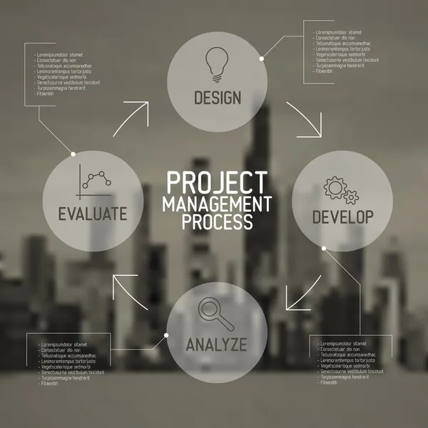 Project management process diagram — Stock Vector