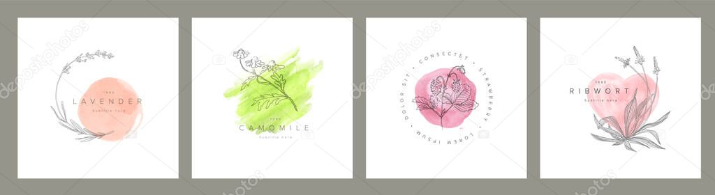 Minimalist floral emblem sign frames template collection made from simple flowers and leafs for wedding invitations product print or emblem sign with watercolor accents