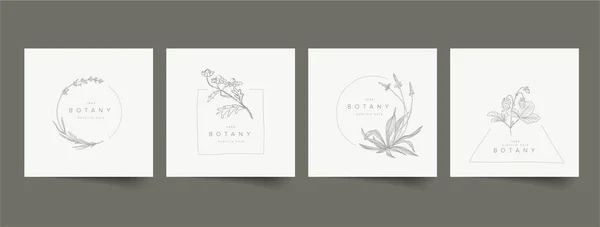 Minimalist Floral Emblem Sign Geometry Frames Template Collection Made Simple — ストックベクタ