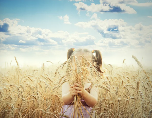 Милый счастливый ребенок играет на пшеничном поле — стоковое фото