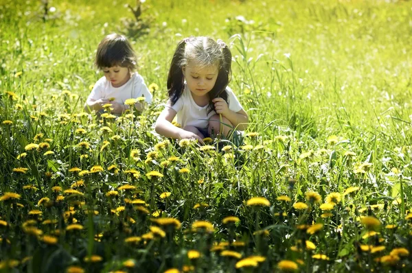 Two little girls playing in the meadow with dandelions — Stock Photo, Image