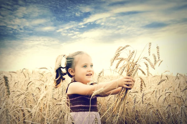 Милый счастливый ребенок играет на пшеничном поле — стоковое фото