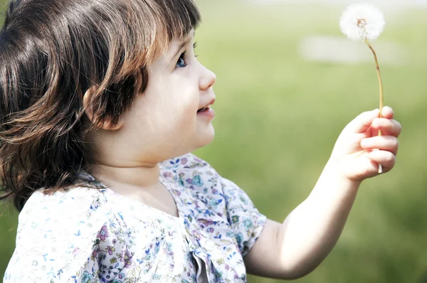 Carino bambina che gioca con un dente di leone Foto Stock