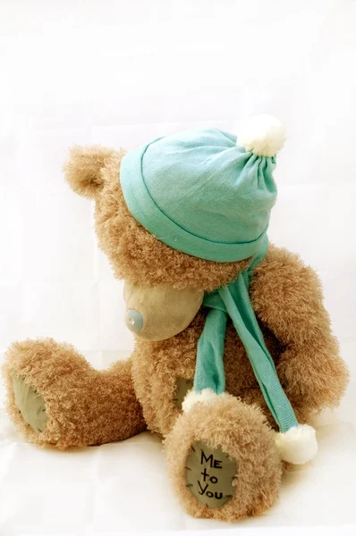 Un orsacchiotto, un peluche, un orsacchiotto, un orso con un fiocco sul collo, un orsacchiotto con un cappello , — Foto Stock