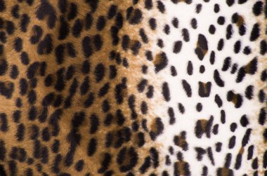 Kumaş desenli makro kaplama malzeme bezi otomatik kumaş siyah-kahverengi, taklit leopar derisi