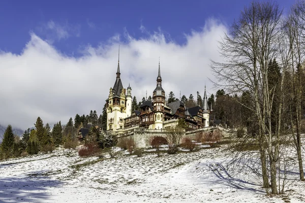 Peles castle — Stockfoto