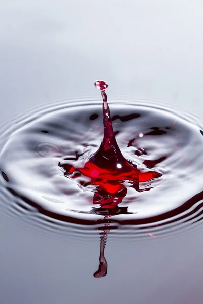 Капля вина — стоковое фото
