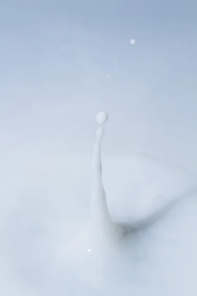 Mjölk droplet — Stockfoto