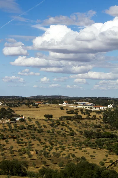 Alentejo paisaje — Foto de Stock