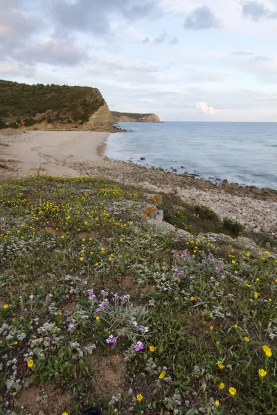 Naturliga kustlinjen i algarve — Stockfoto