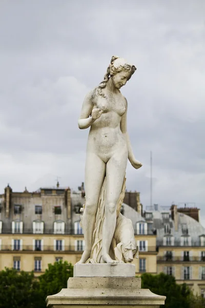 Wunderschöne Statuen auf dem Museum des Louvre in Paris, Frankreich — Stockfoto