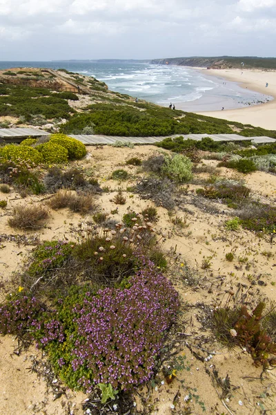 Magnifique littoral de Sagres — Photo