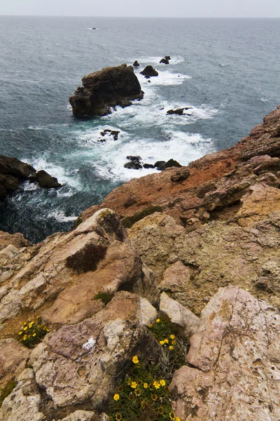 Hermosa costa de Sagres — Foto de Stock