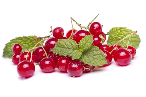 Tasty red currant berries — Stock Photo, Image