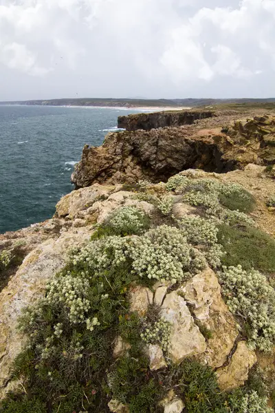 Beautiful coastline of Sagres — Stock Photo, Image