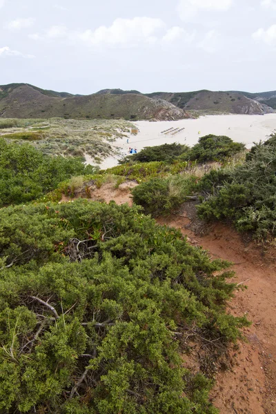 美丽的海岸线的 sagres — 图库照片