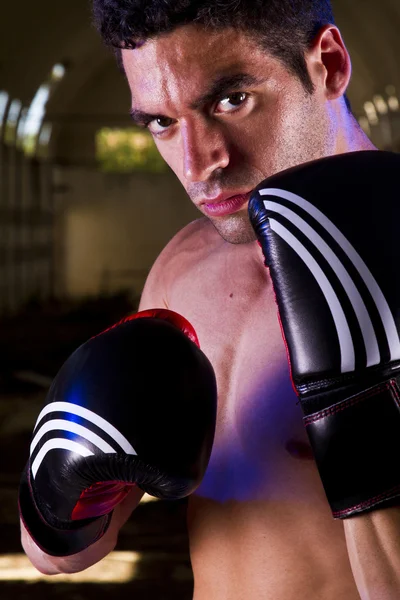 Combattente in forma con guanti da boxe — Foto Stock