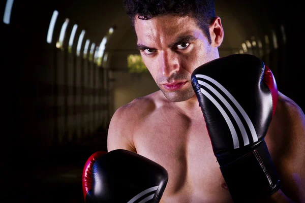 Fit fighter with boxing gloves — Stock Photo, Image