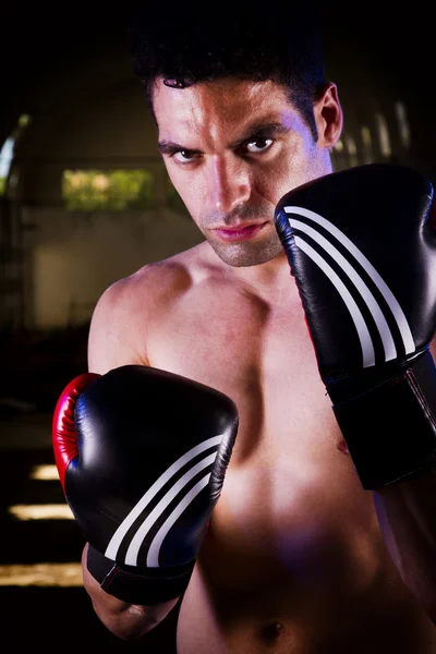 Combattente in forma con guanti da boxe — Foto Stock