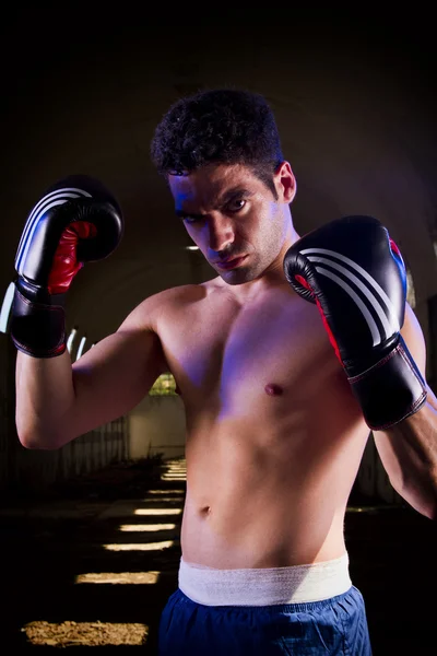 Boxeur avec gants de boxe — Photo
